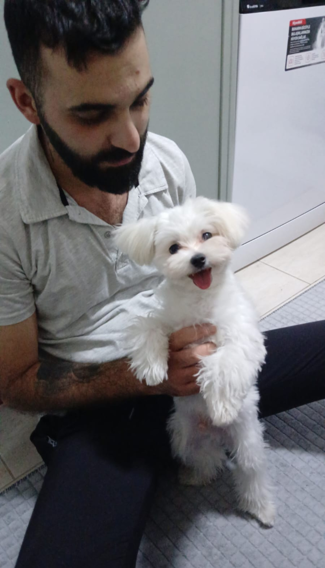 Gelin adayı arıyoruz 4