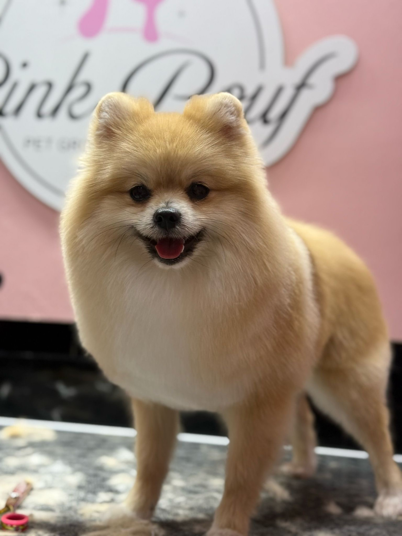 LEO