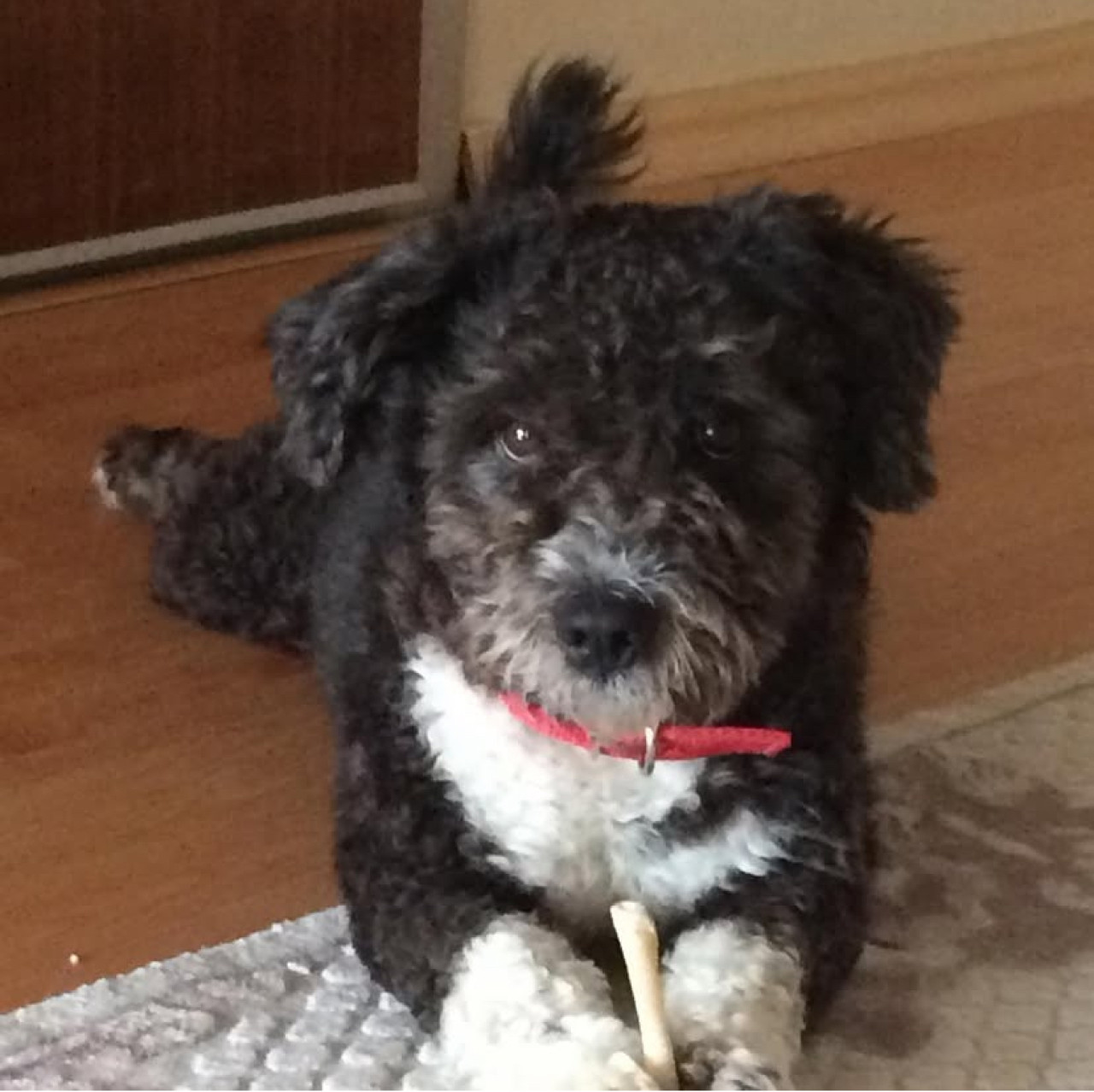 Oğlumuza eş arıyoruz