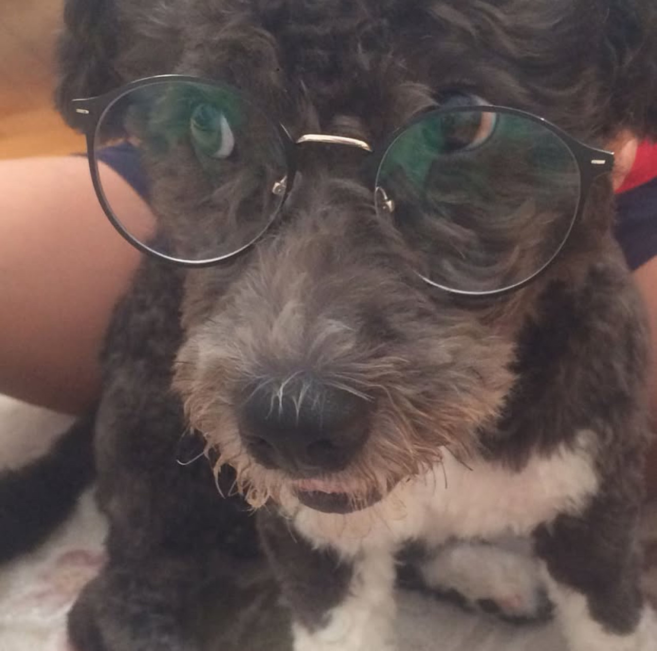 Oğlumuza eş arıyoruz 2