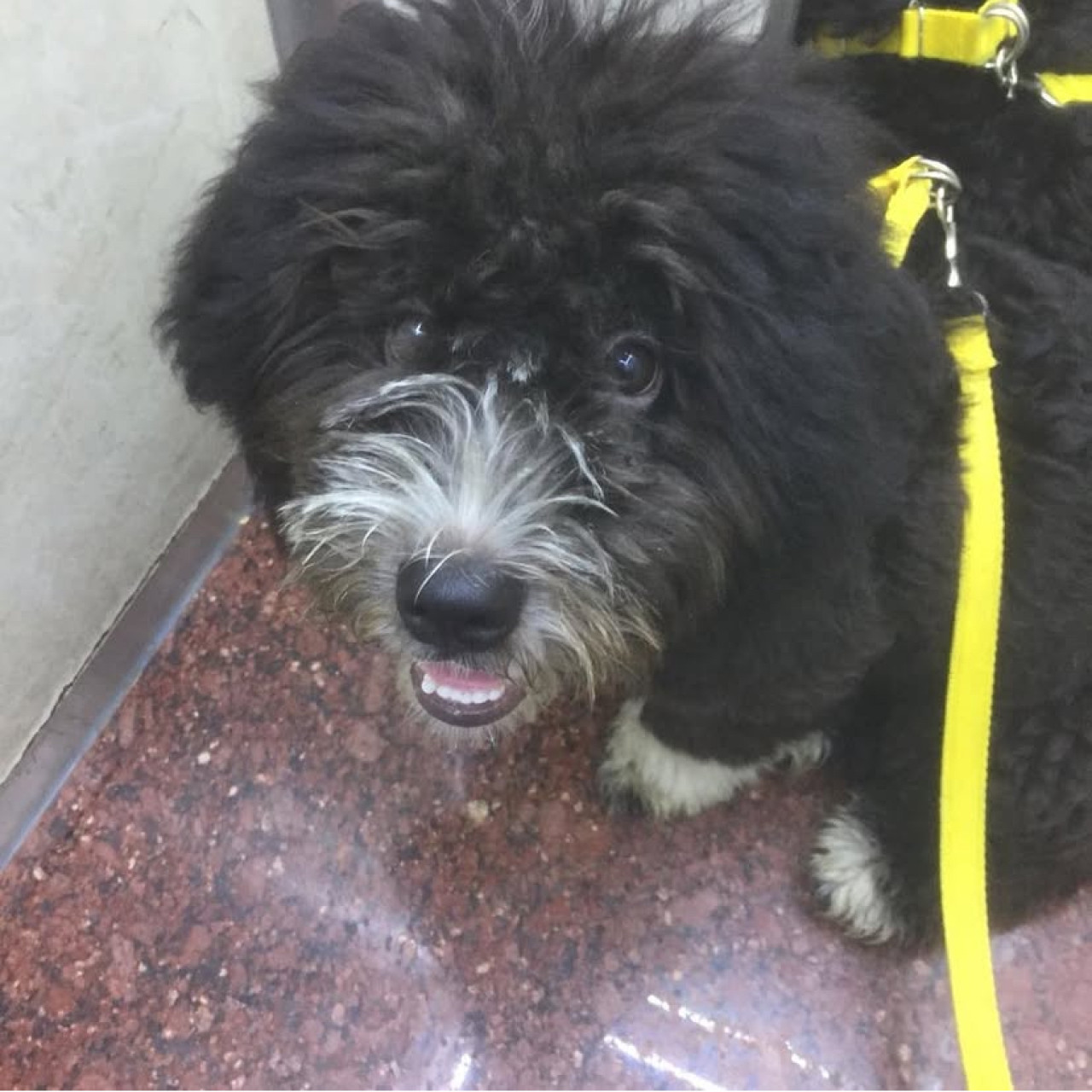 Oğlumuza eş arıyoruz 3