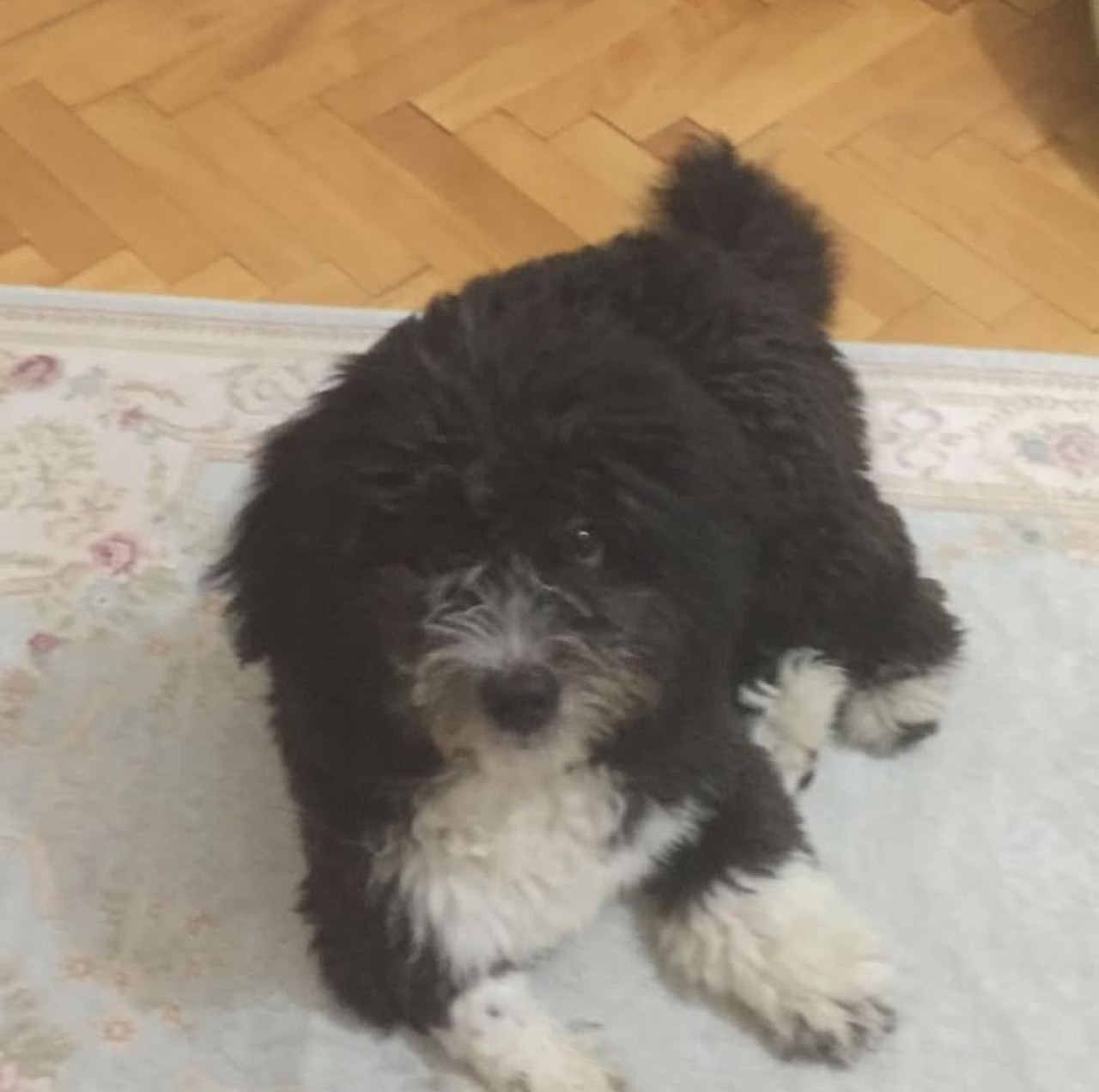 Oğlumuza eş arıyoruz 4