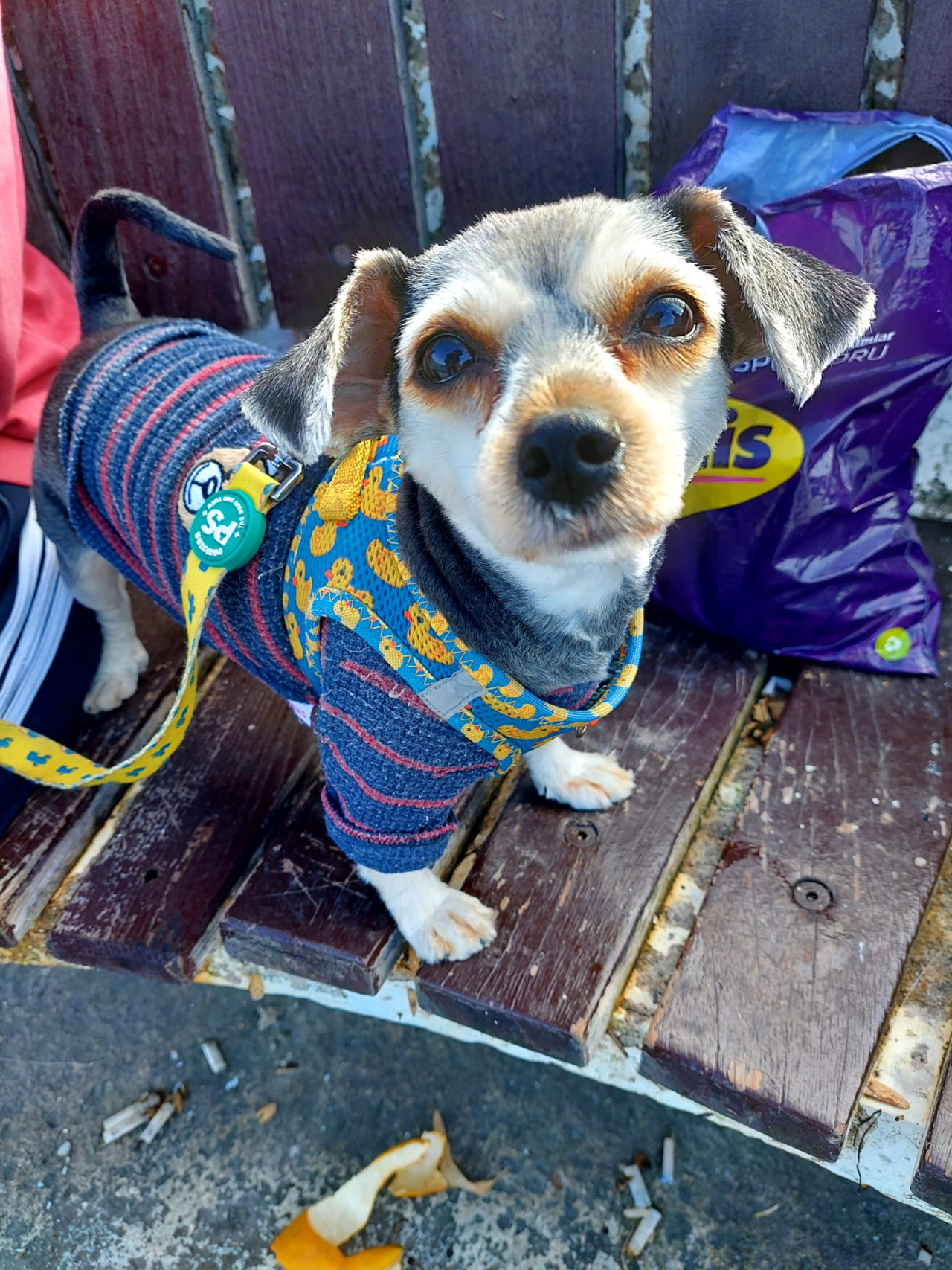 Kızımıza damat arıyoruz