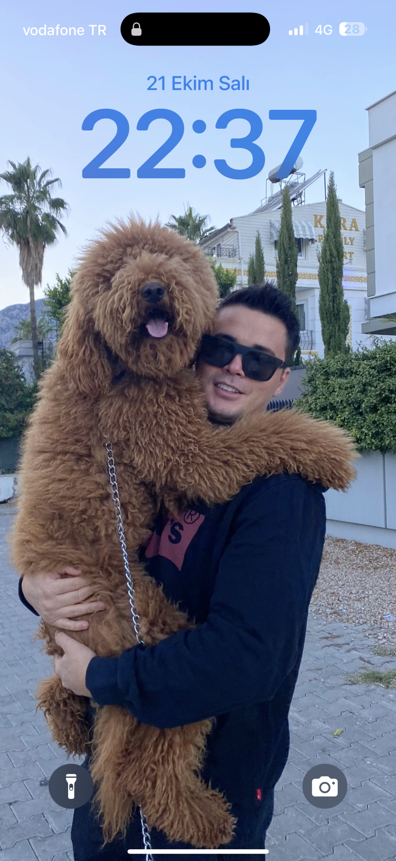 Antalya labradoodle 5