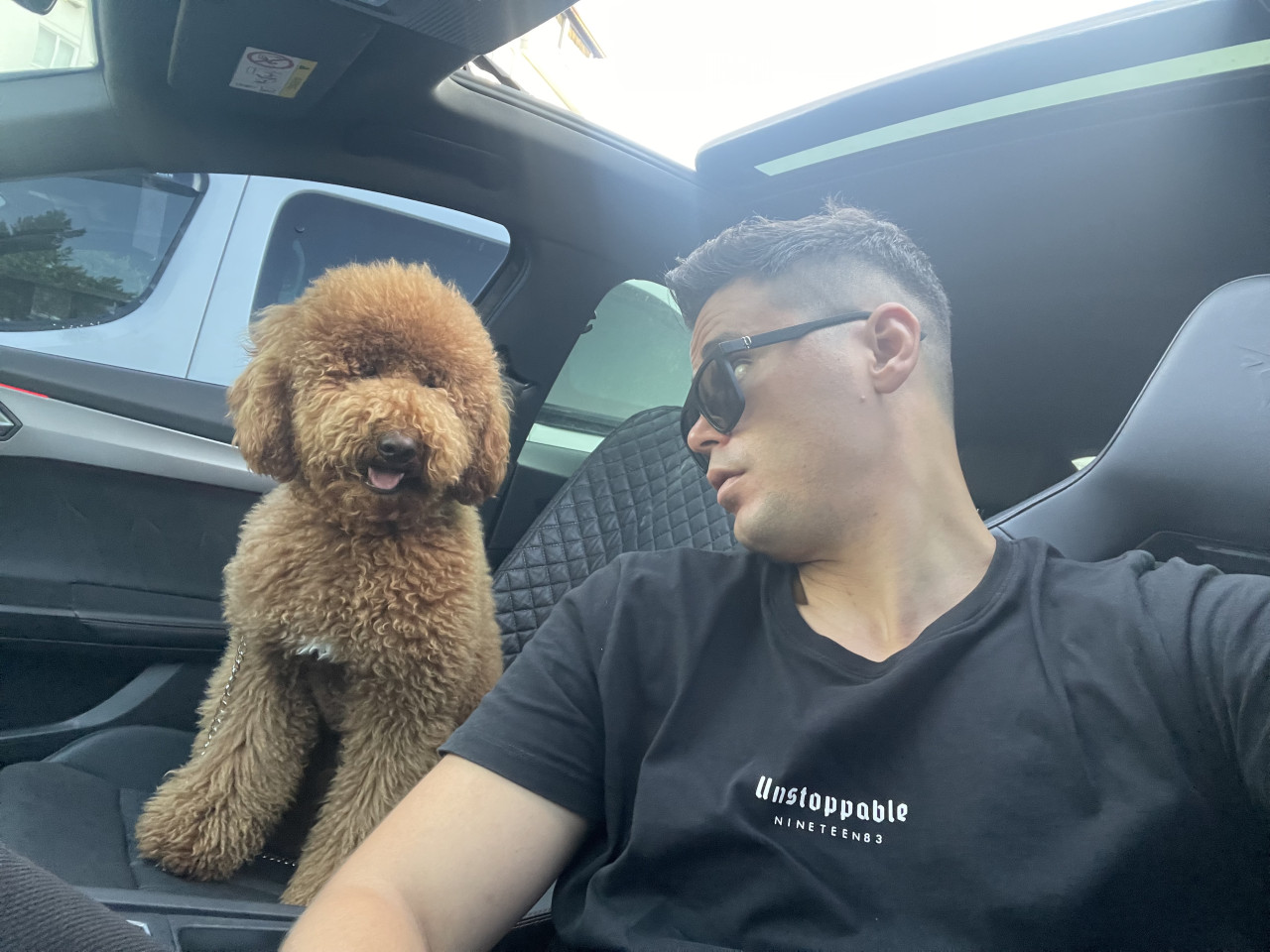 Antalya labradoodle 4