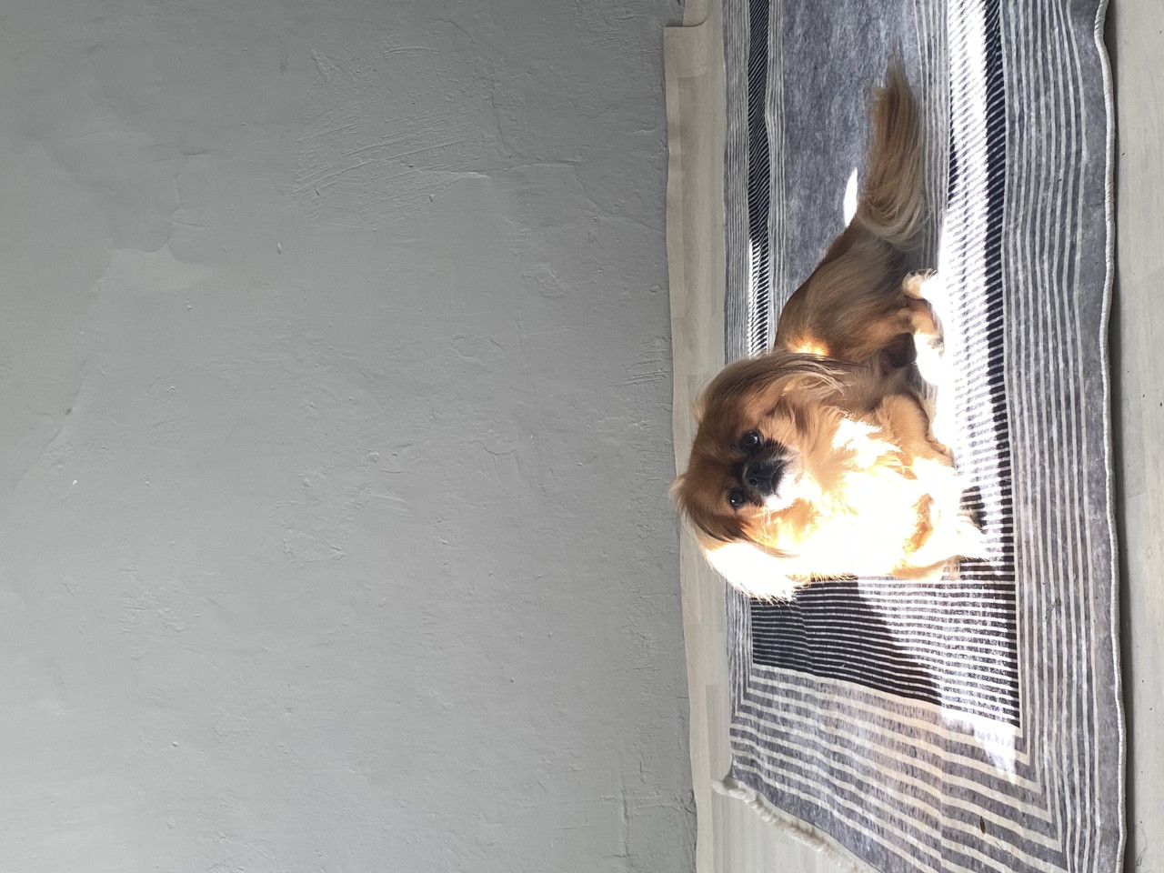 Oğlumuz için eş arıyoruz