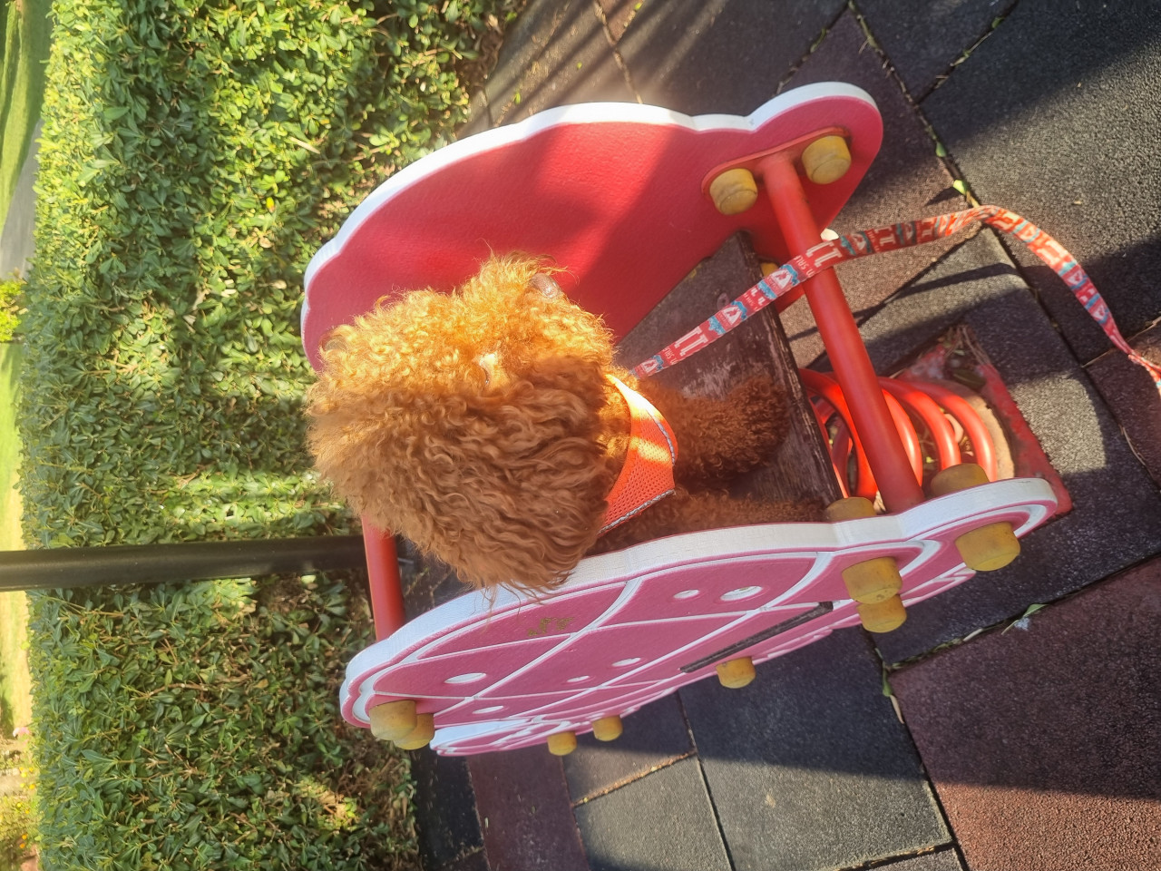 Kizim Mia ya eş ariyorum