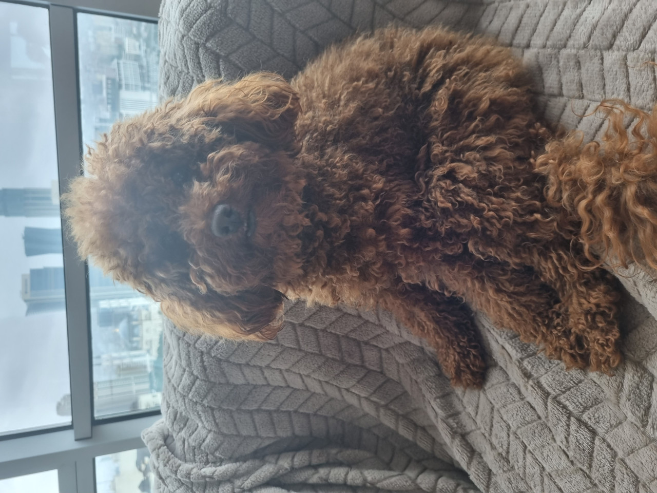 Kizim Mia ya eş ariyorum 3