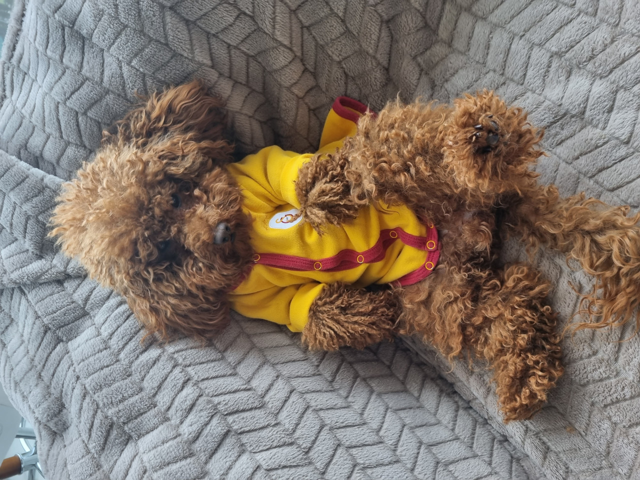 Kizim Mia ya eş ariyorum 2