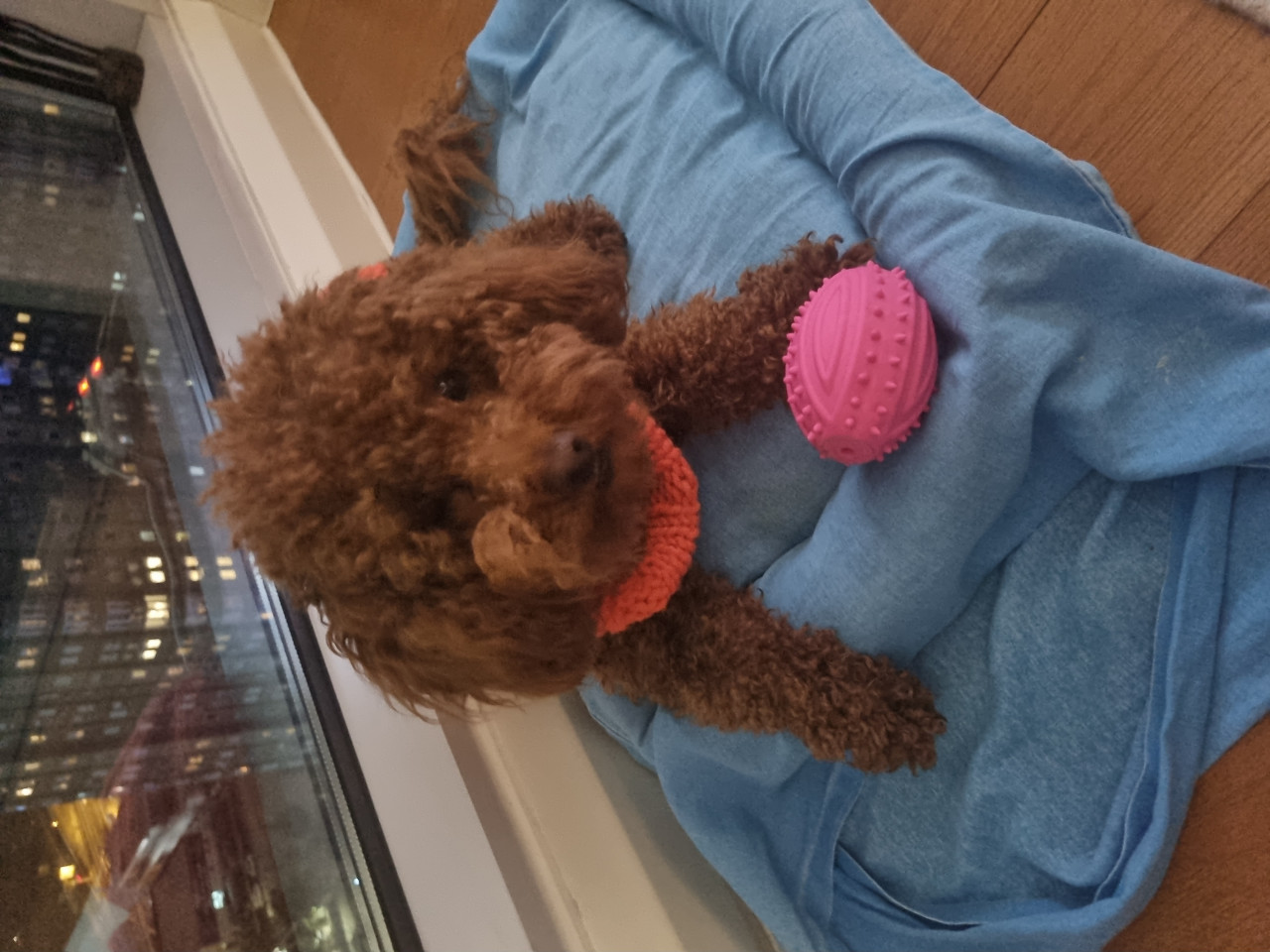 Kizim Mia ya eş ariyorum 4