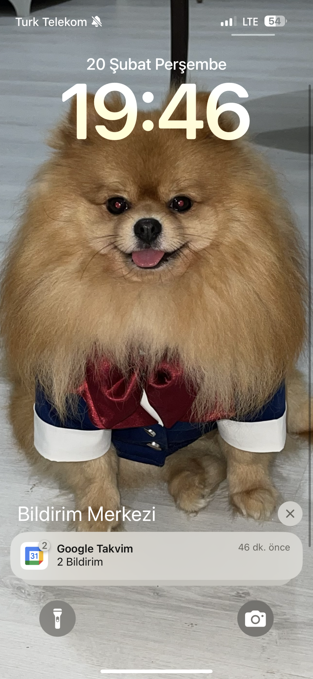 Asil oğlumuza eş arıyoruz 7