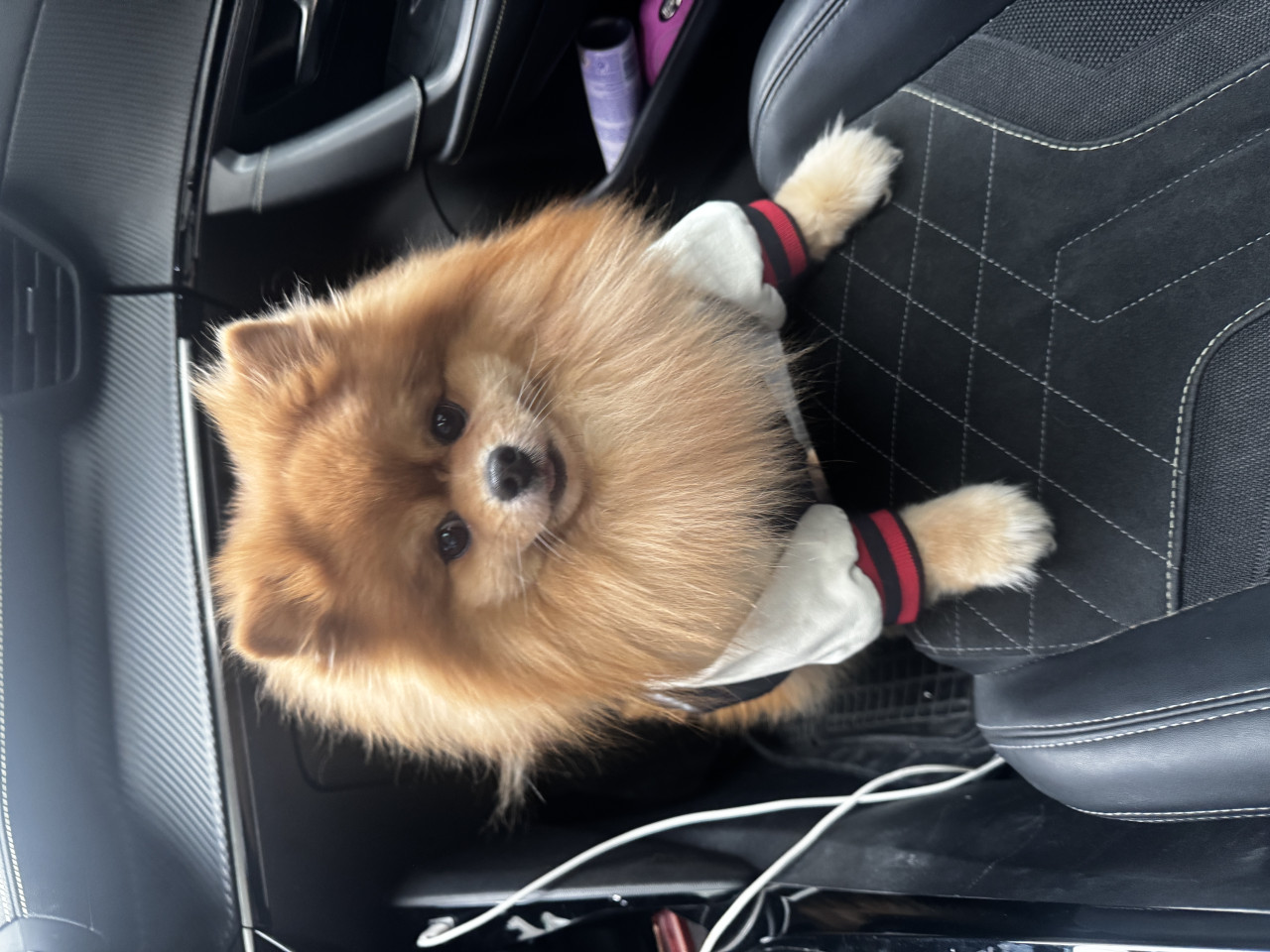 Asil oğlumuza eş arıyoruz 8