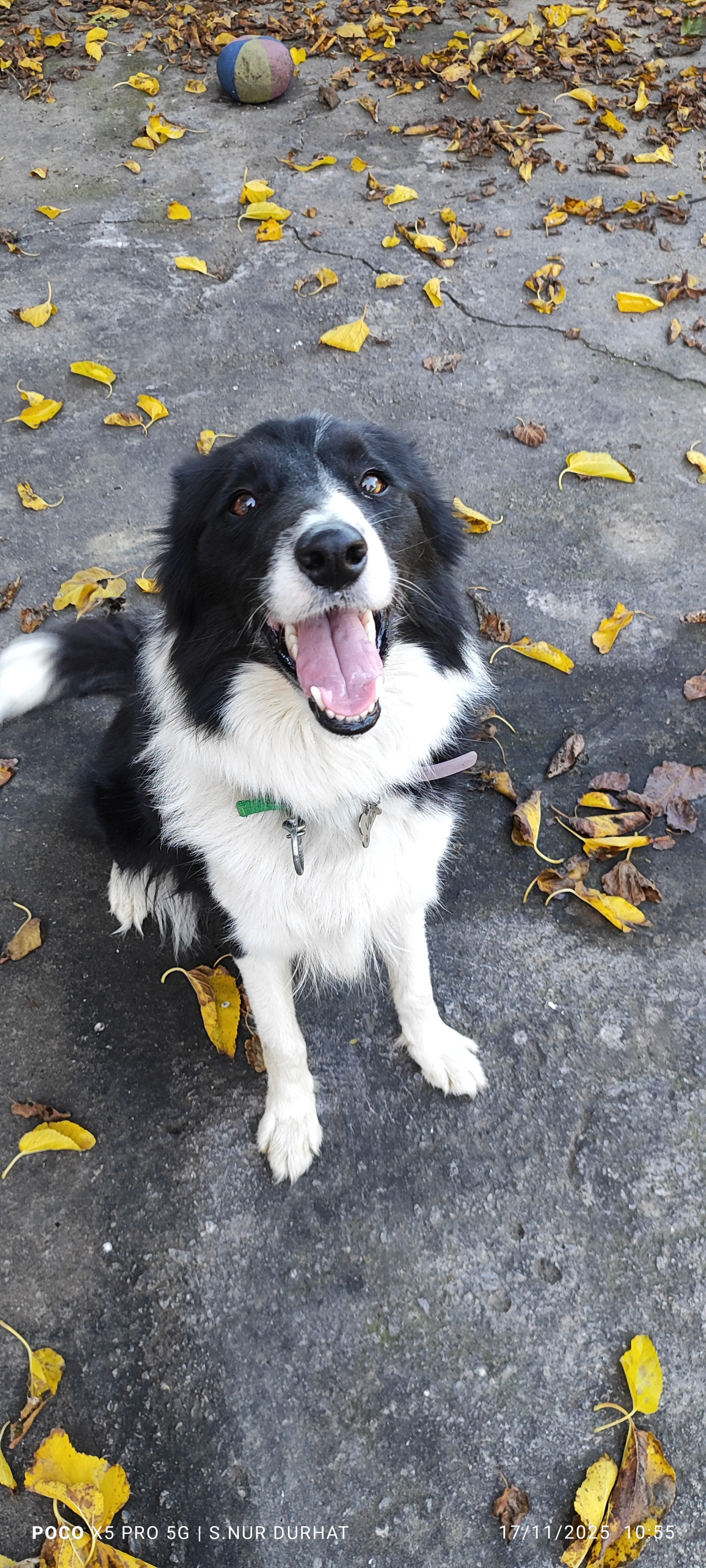 Kızıma daimi eş arkadaş arıyorum