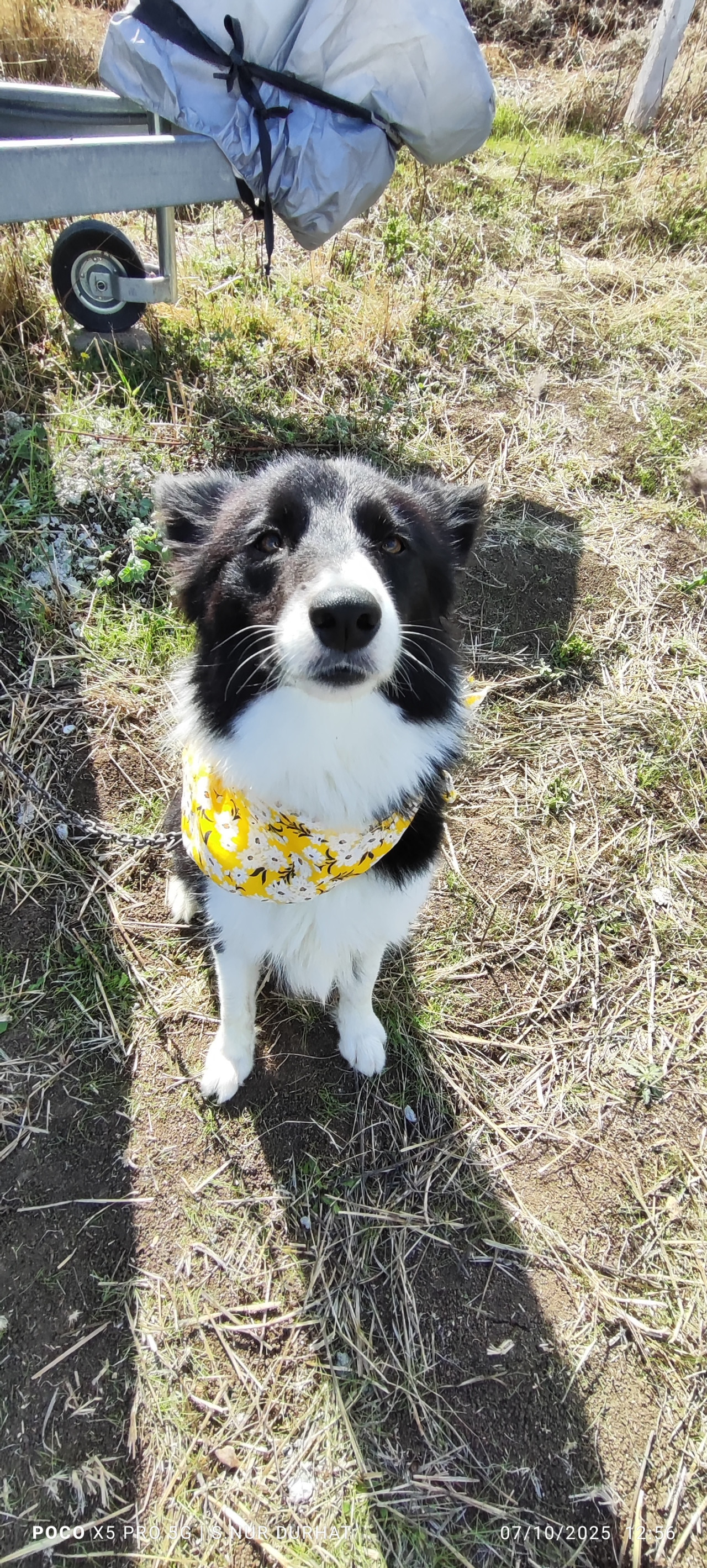 Kızıma daimi eş arkadaş arıyorum 3