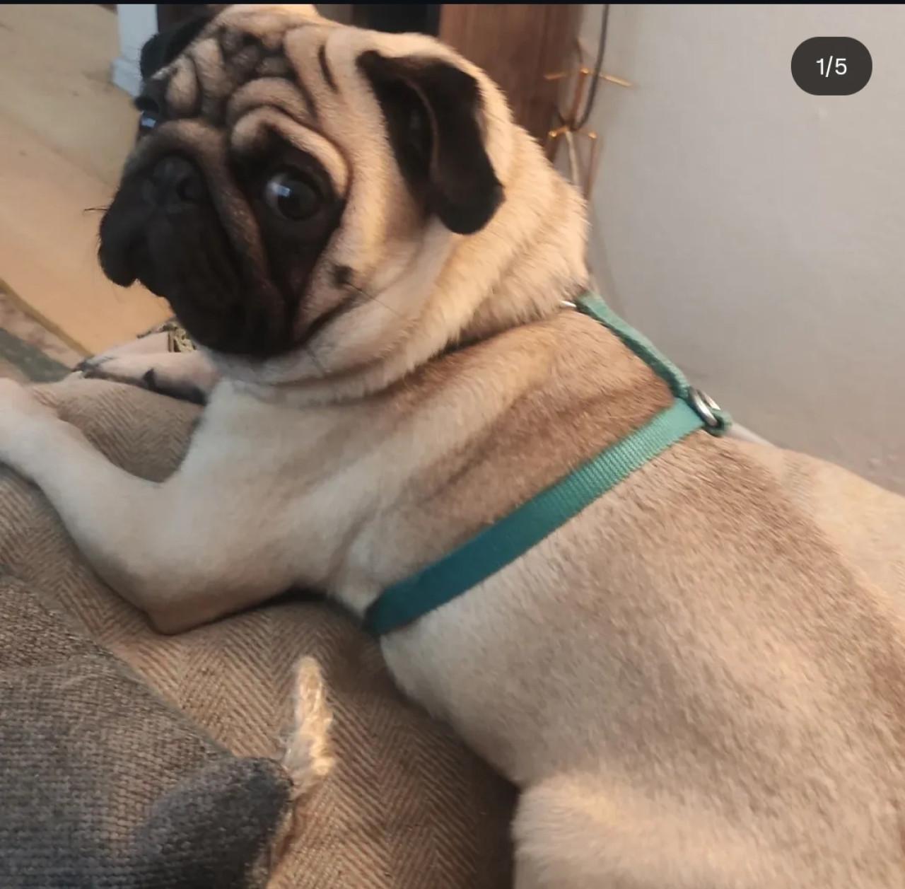 Rio için eş ariyoruz 2