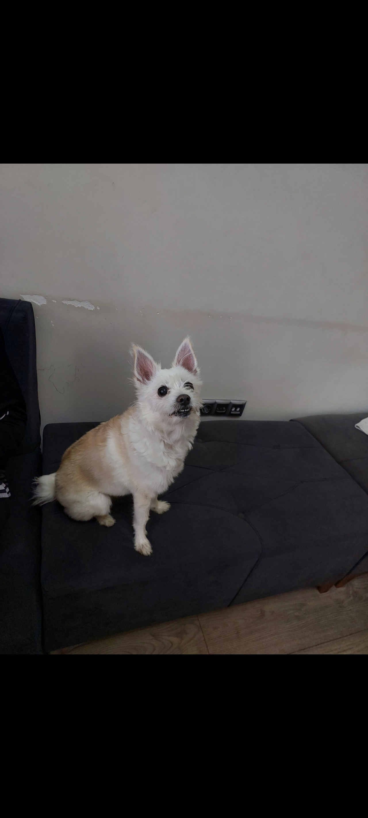 Kızıma İstanbul İçi Eş 3