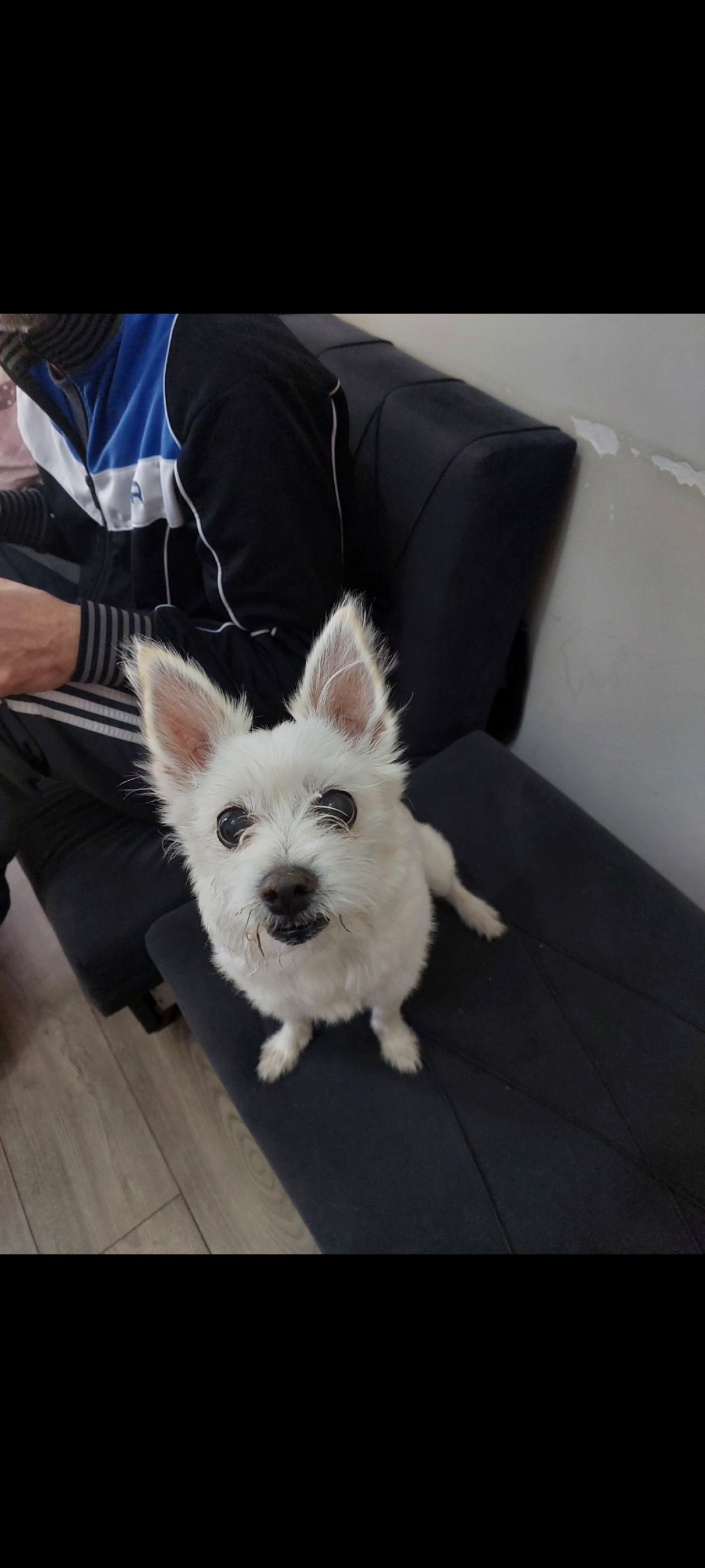 Kızıma İstanbul İçi Eş