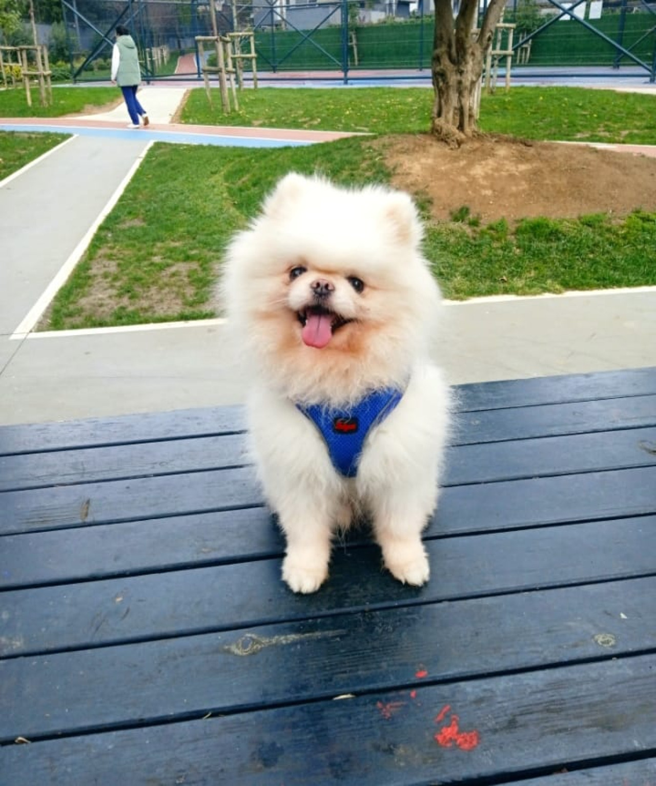 Oğluma eş arıyorum 3