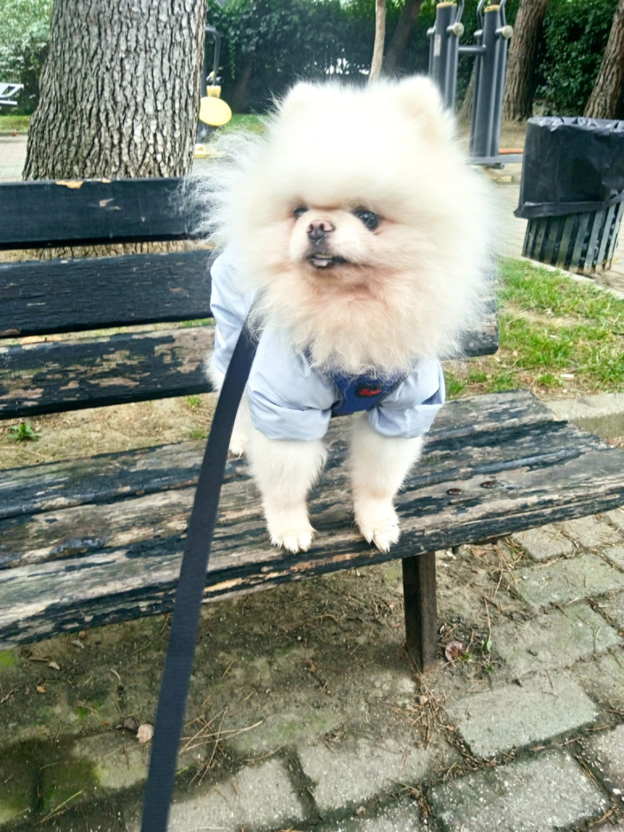 Oğluma eş arıyorum 2