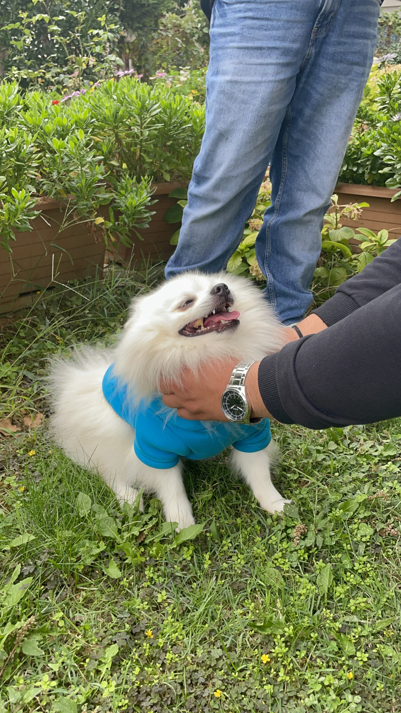 Oğluma eş arıyorum 2