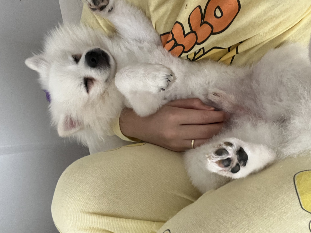 Oğluma eş arıyorum 1