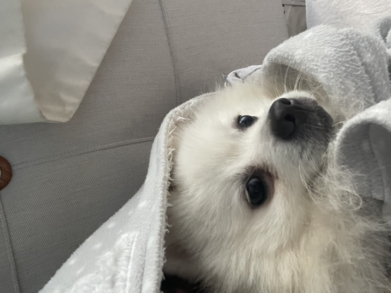 Oğluma eş arıyorum 5