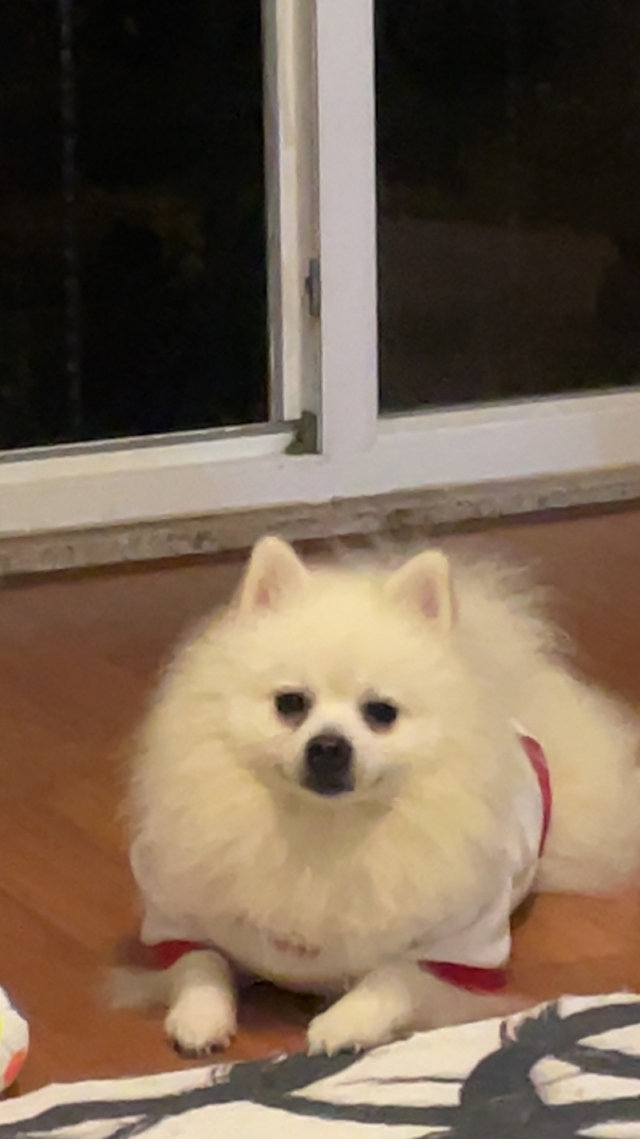 Oğluma eş arıyorum 4