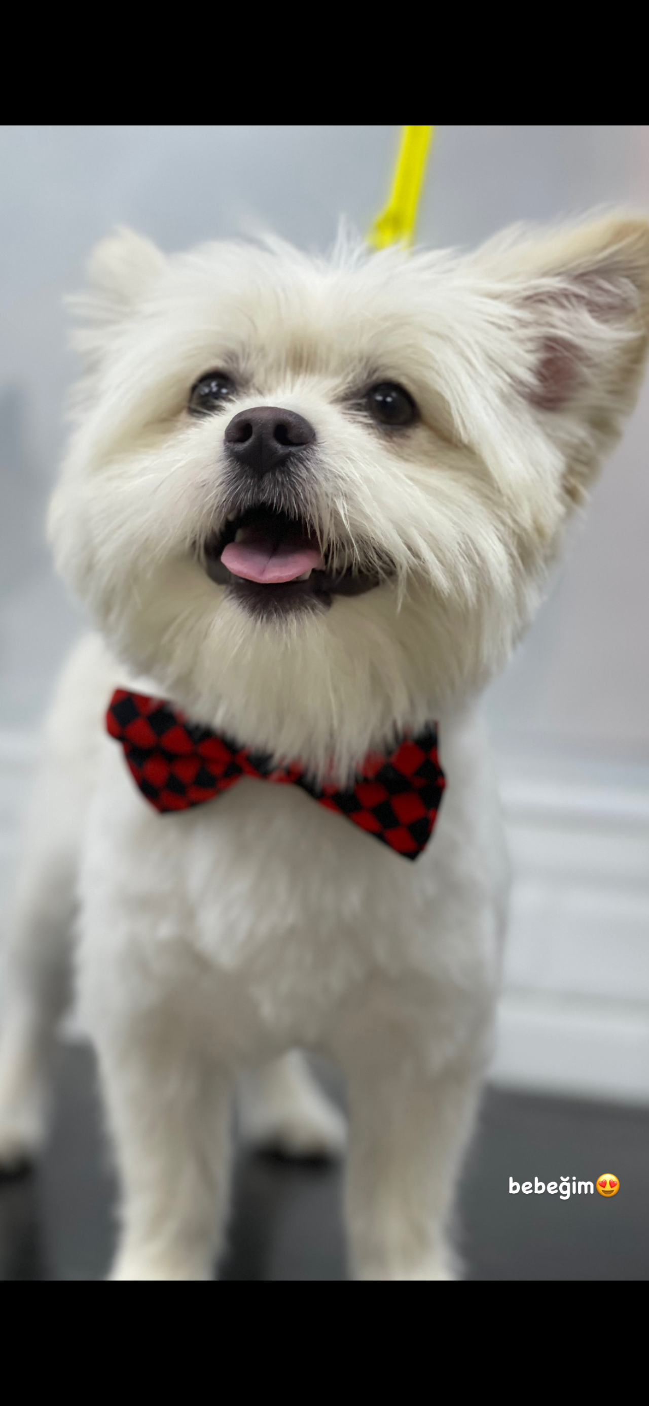 Oğluma Hanım Kız Arıyoruz