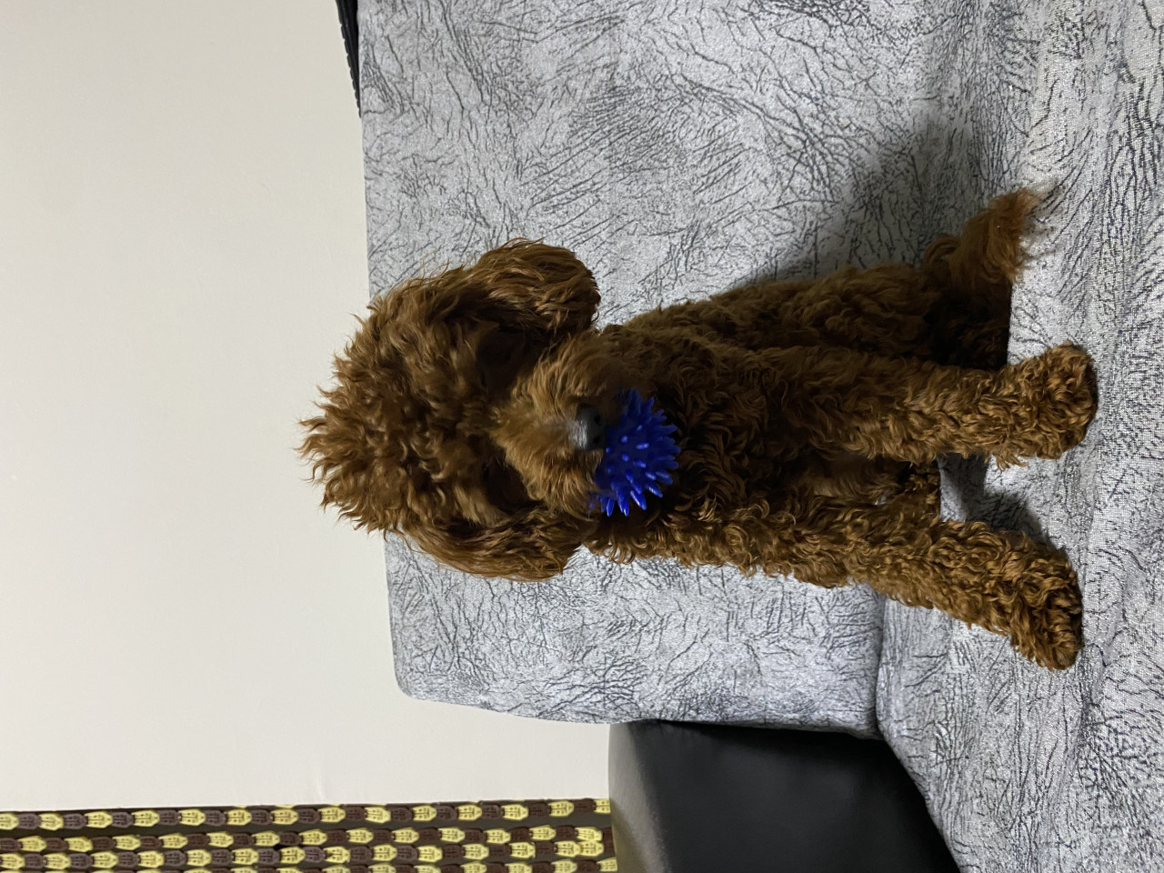 1 yaşındaki oğluma eş arıyoruz 4