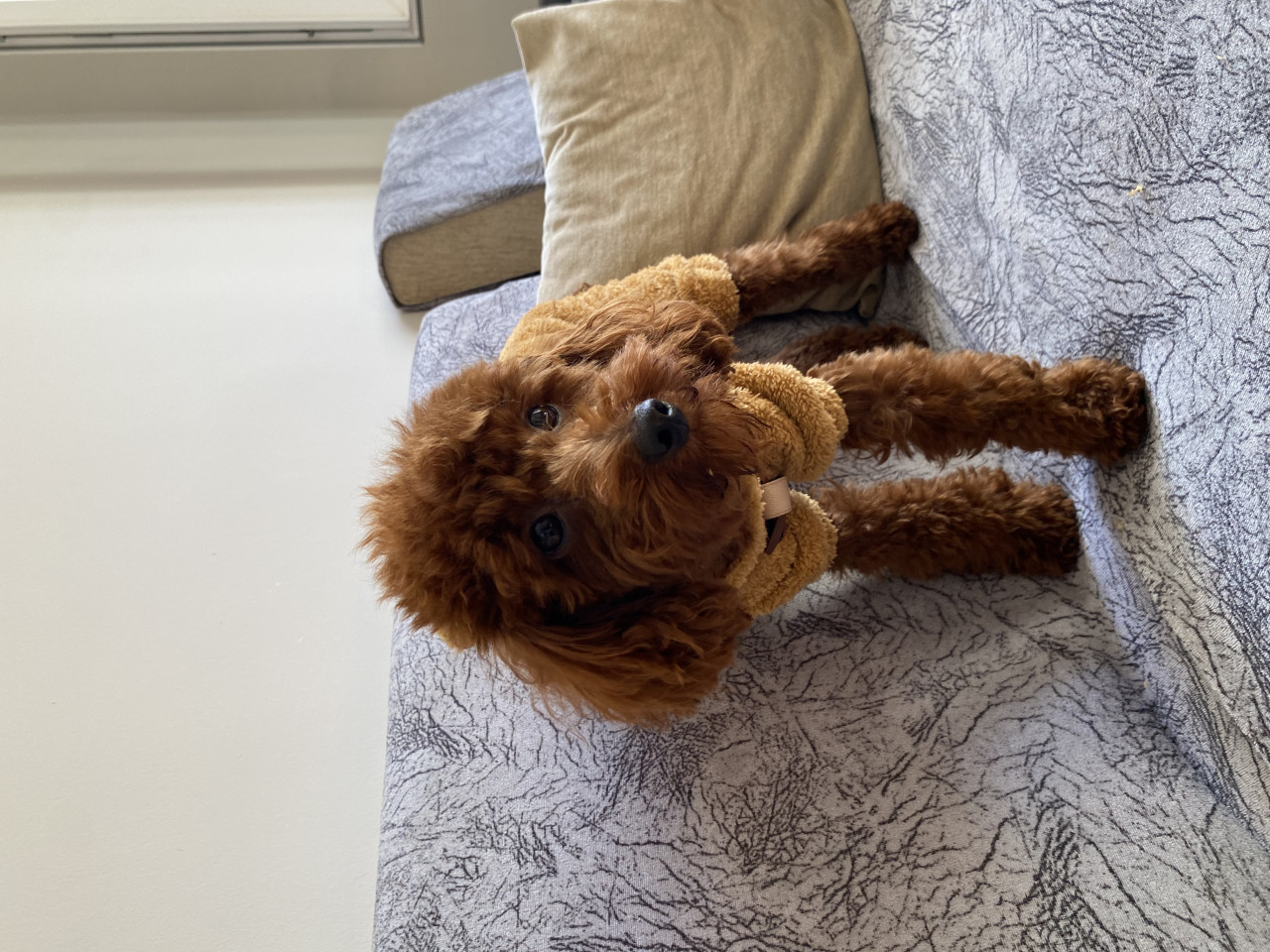 1 yaşındaki oğluma eş arıyoruz 5