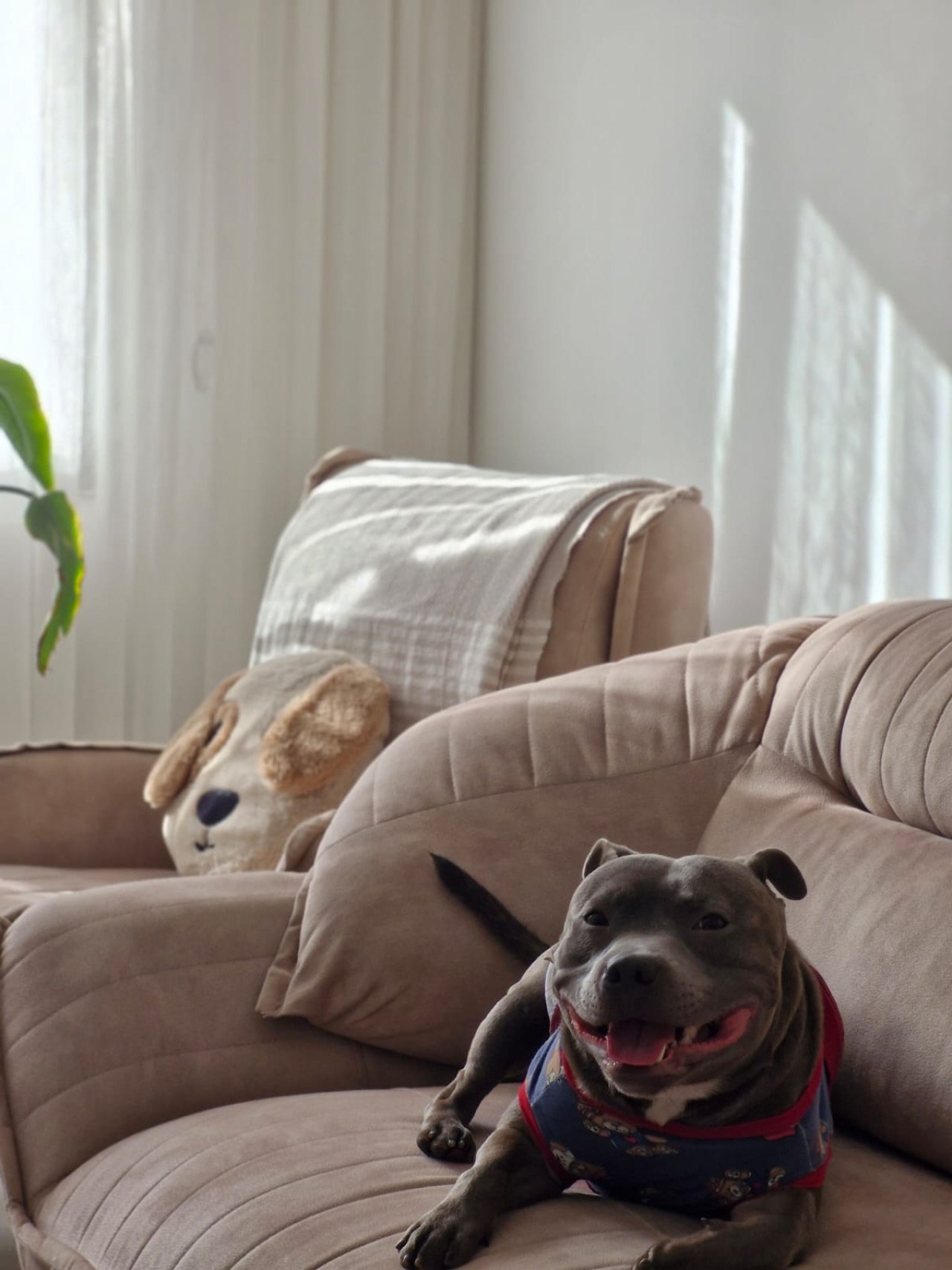 Oğluma eş arıyoruz