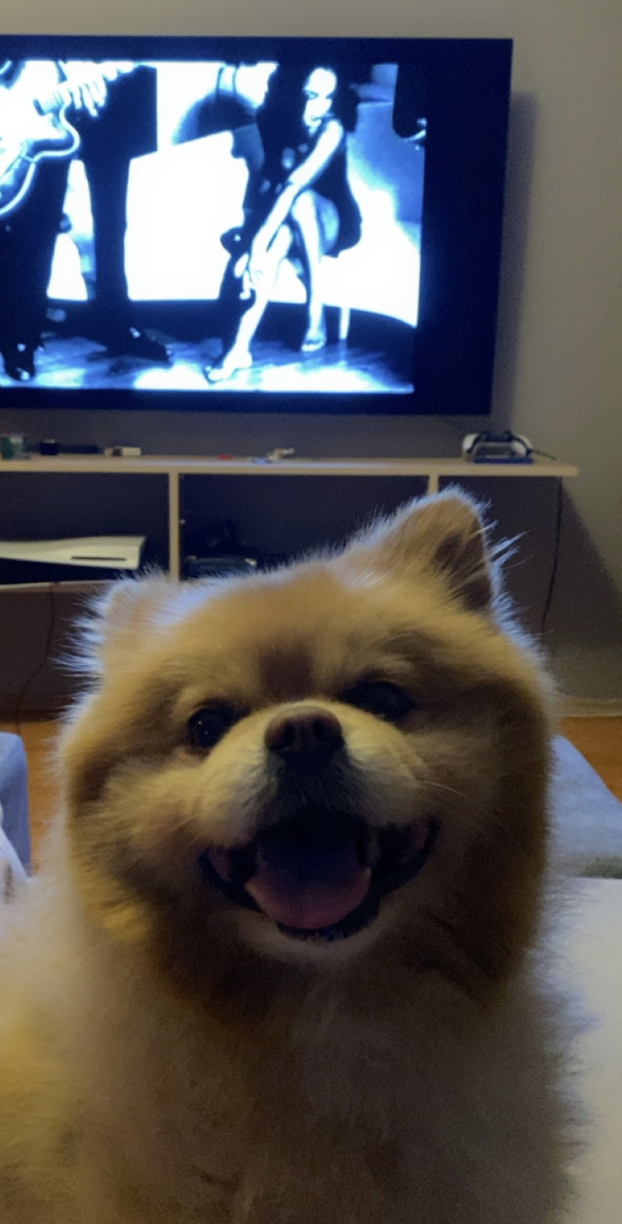 Çiftleştirmek için dişi arıyoruz 3