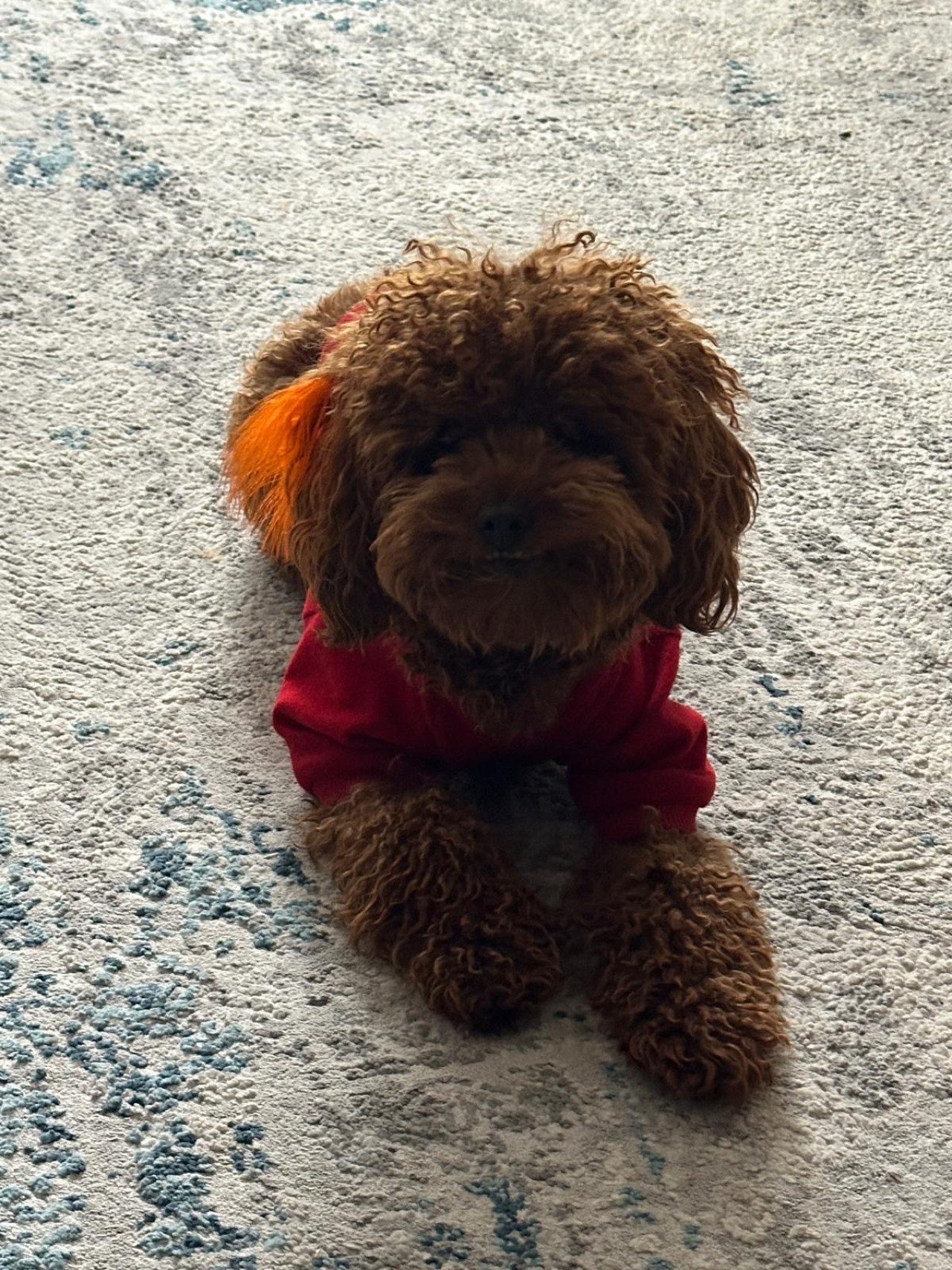 Dişi eş arıyoruz ☺️