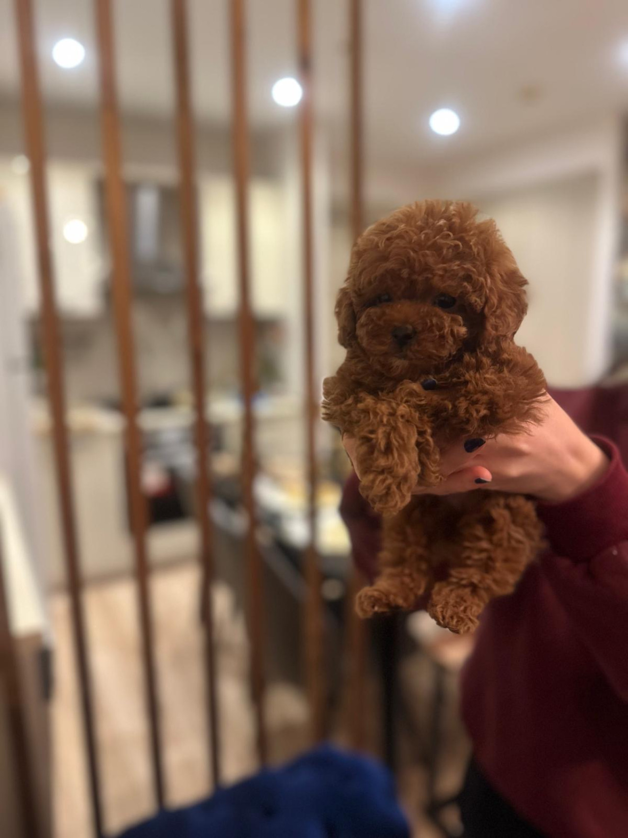 Dişi eş arıyoruz ☺️ 3