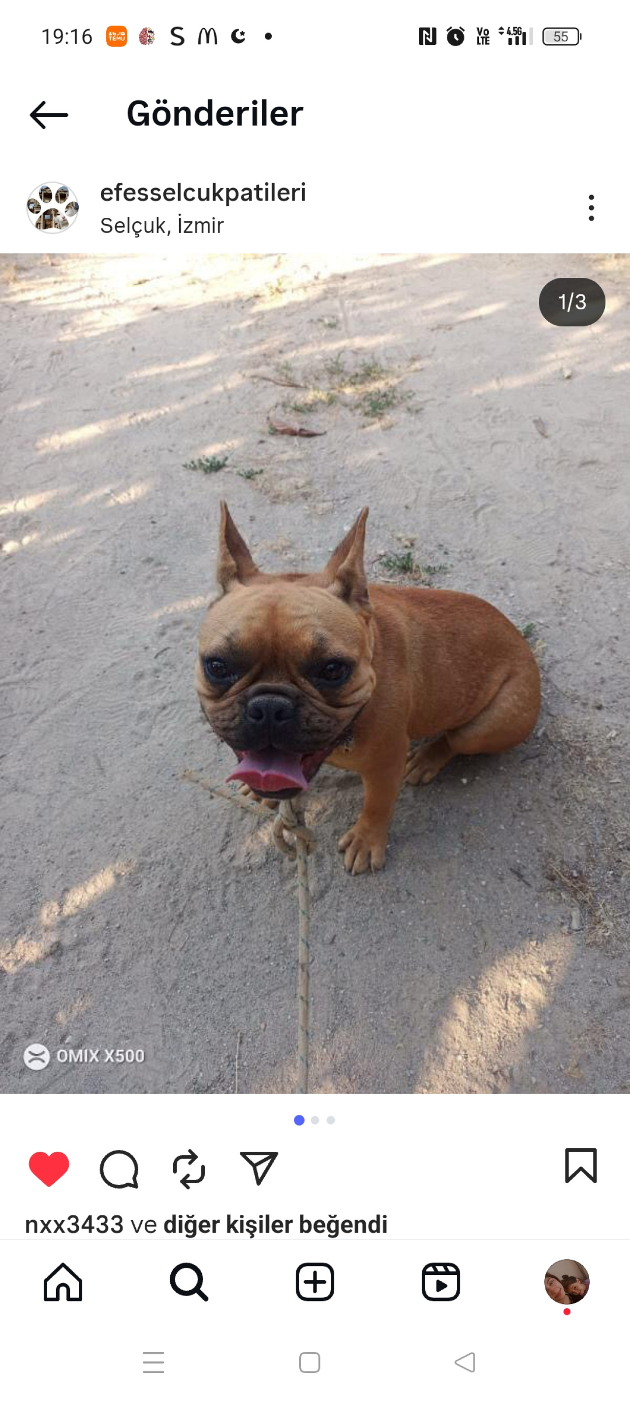 Fındık gaci eş arıyorum acil