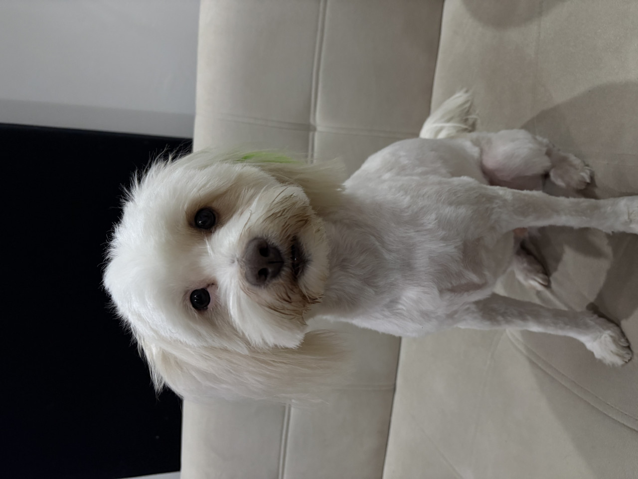 Oğlumuza eş arıyoruz 2