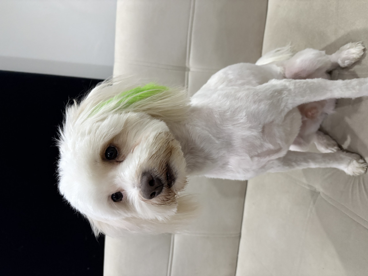 Oğlumuza eş arıyoruz 3