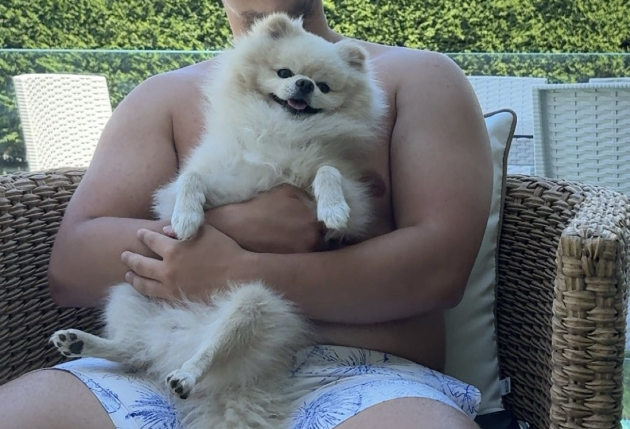 Evimizin reisi Yogi’mize güzel bir eş arıyoruz 4