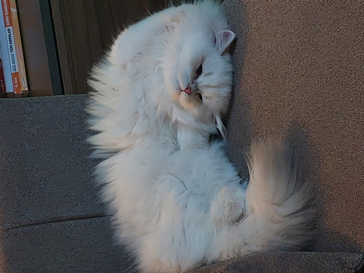 Guzel kızımıza es ariyoruz 1