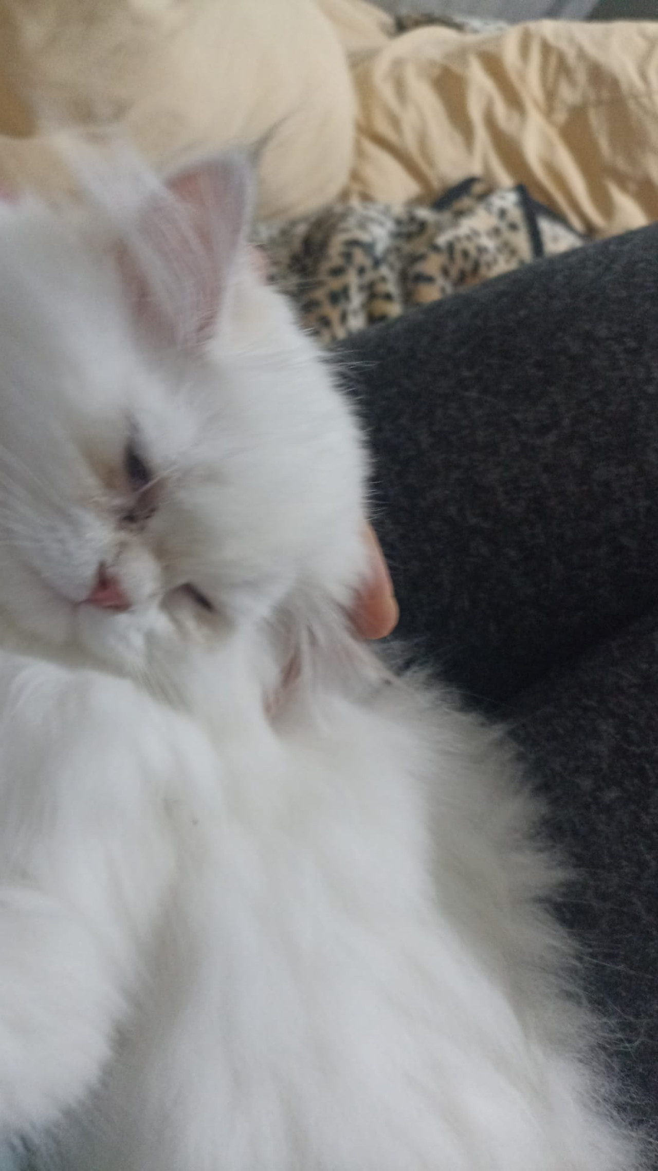 Guzel kızımıza es ariyoruz 3