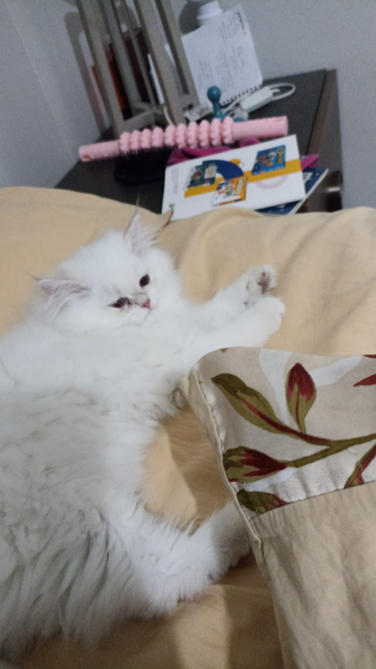 Guzel kızımıza es ariyoruz 2