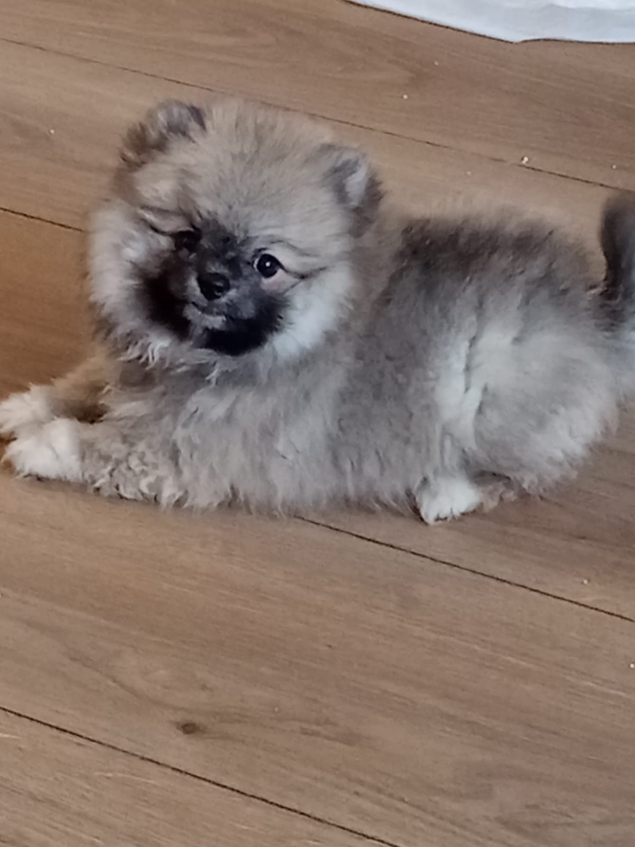 Kızıma eş arıyorum 4