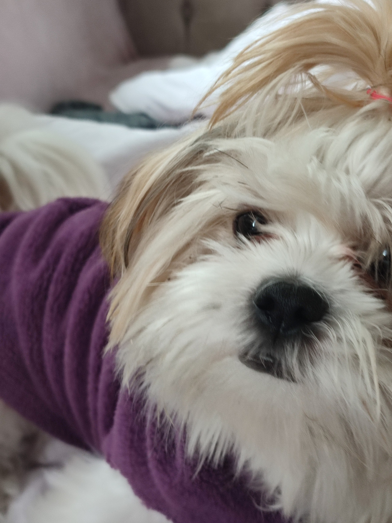 KIZIMA EŞ ARIYORUZ İST