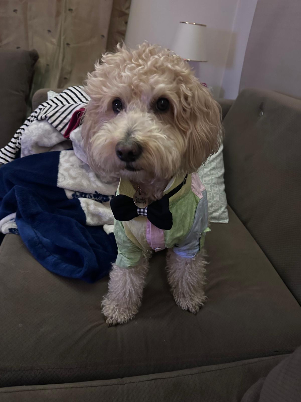 Oğlumuza eş arıyoruz 1