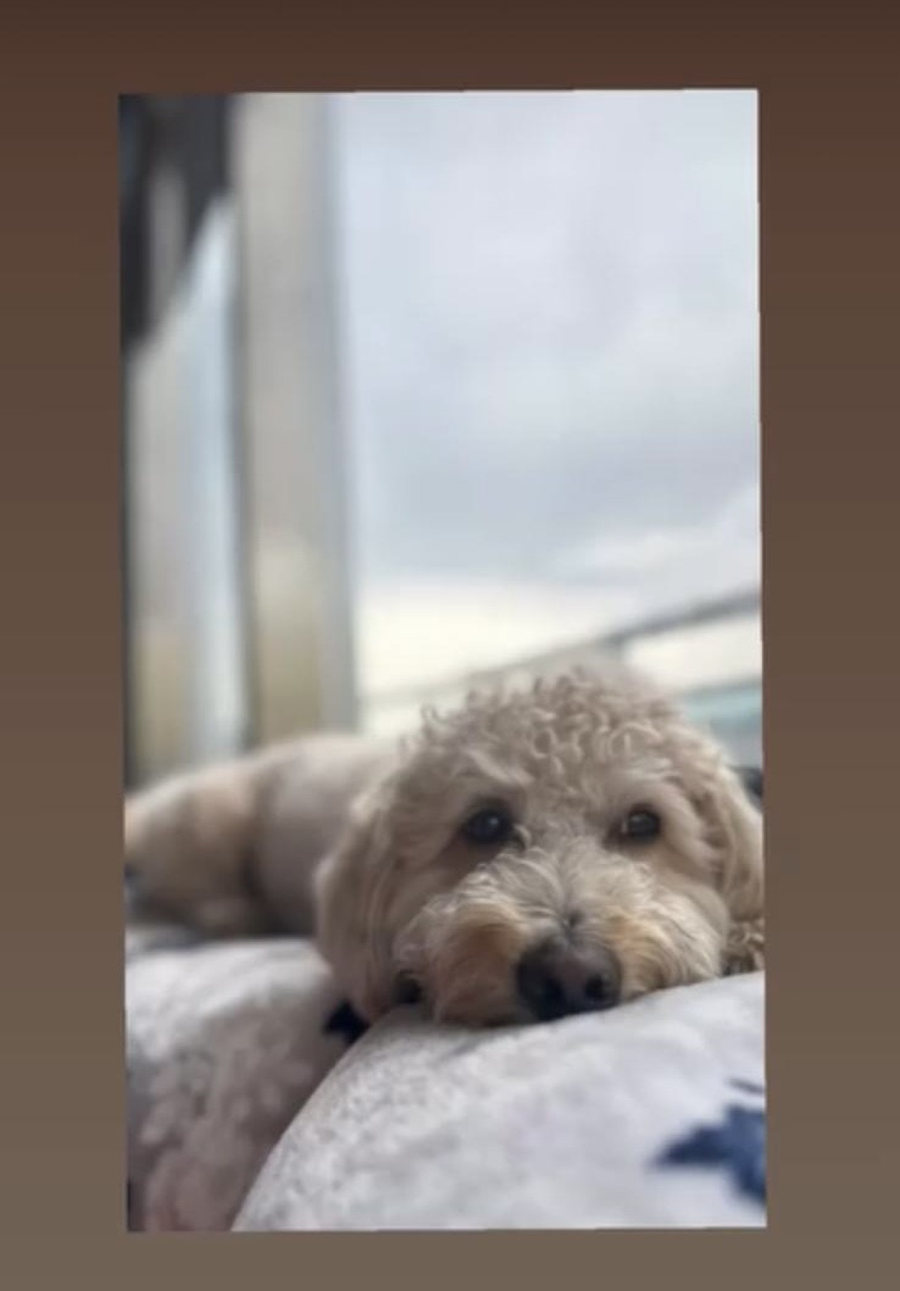 Oğlumuza eş arıyoruz 3