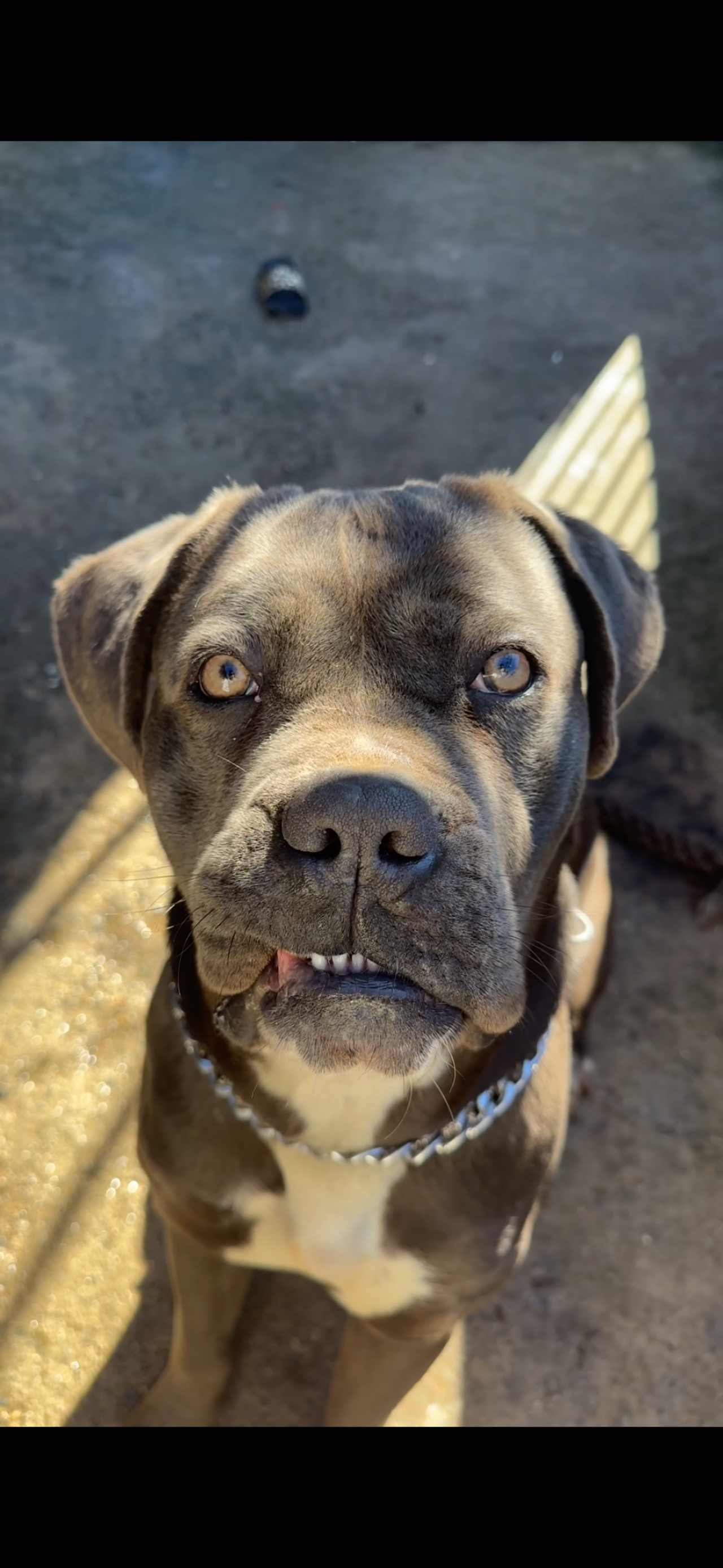 Oğluma eş arıyorum 1