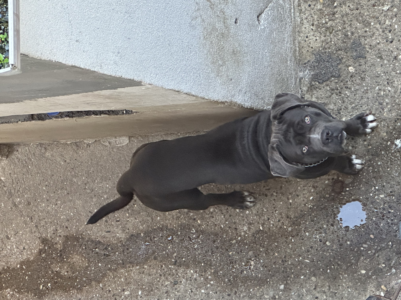 Oğluma eş arıyorum 2