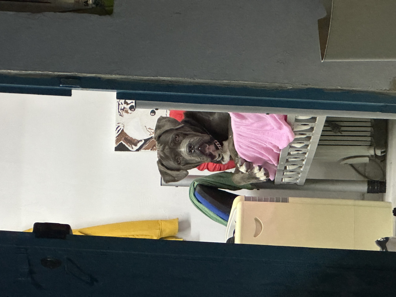 Oğluma eş arıyorum 3