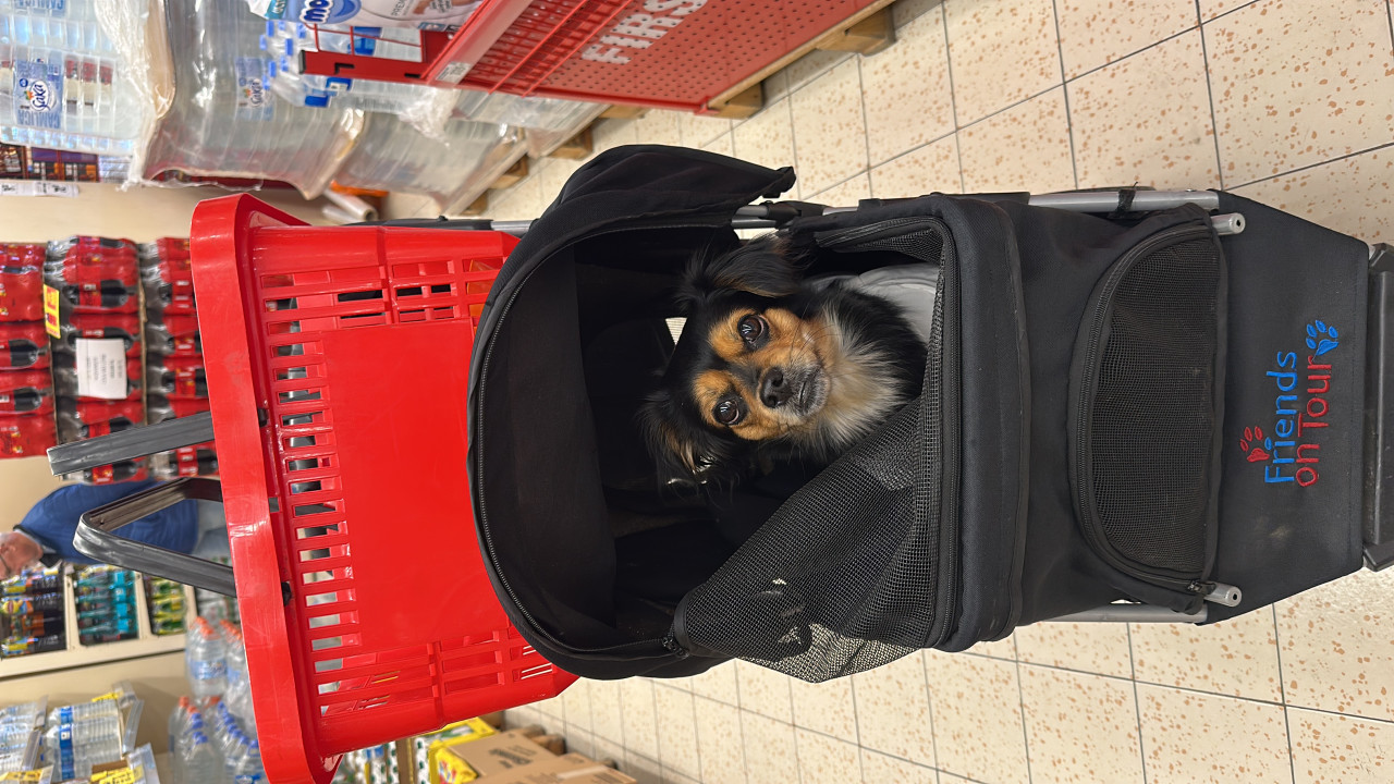 Kızımıza eş arıyoruz 12