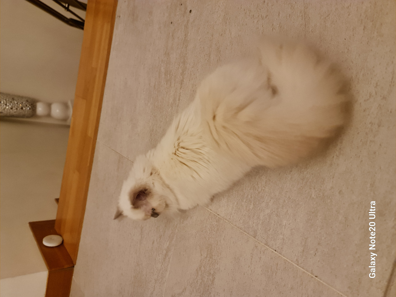 Erkek eş arıyoruz 3